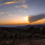 La Fonte *