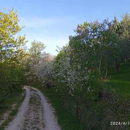 La Fonte * Pietralunga (Umbria)