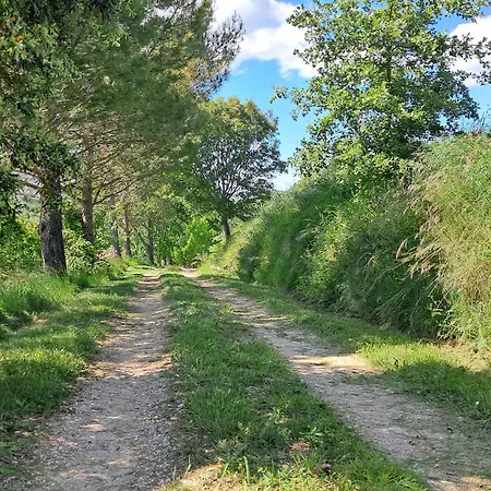 La Fonte *
