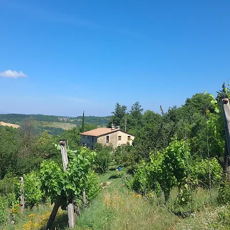 Bed & Breakfast La Fonte *